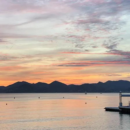 Apartment Festival De Palmiers, Plages-congres, Cocon De Calme Au Coeur De Cannes