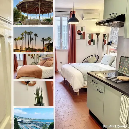 Festival De Palmiers, Plages-congres, Cocon De Calme Au Coeur De Cannes