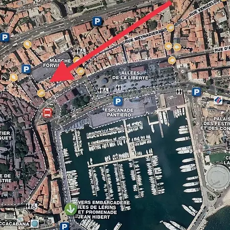 Festival De Palmiers, Plages-congres, Cocon De Calme Au Coeur De Cannes