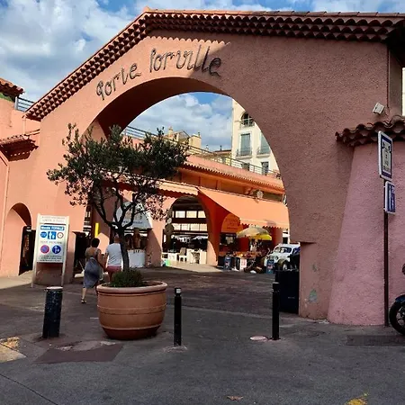 Festival De Palmiers, Plages-congres, Cocon De Calme Au Coeur De *