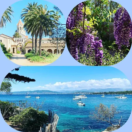 아파트 Festival De Palmiers, Plages-congres, Cocon De Calme Au Coeur De *
