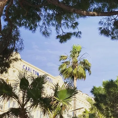 Festival De Palmiers, Plages-congres, Cocon De Calme Au Coeur De Apartment *