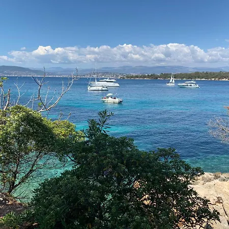 Festival De Palmiers, Plages-congres, Cocon De Calme Au Coeur De *